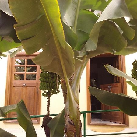 Casa Rural Llano Campo Hermigua Dış mekan fotoğraf