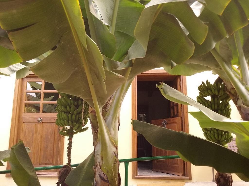 Casa Rural Llano Campo Hermigua Dış mekan fotoğraf