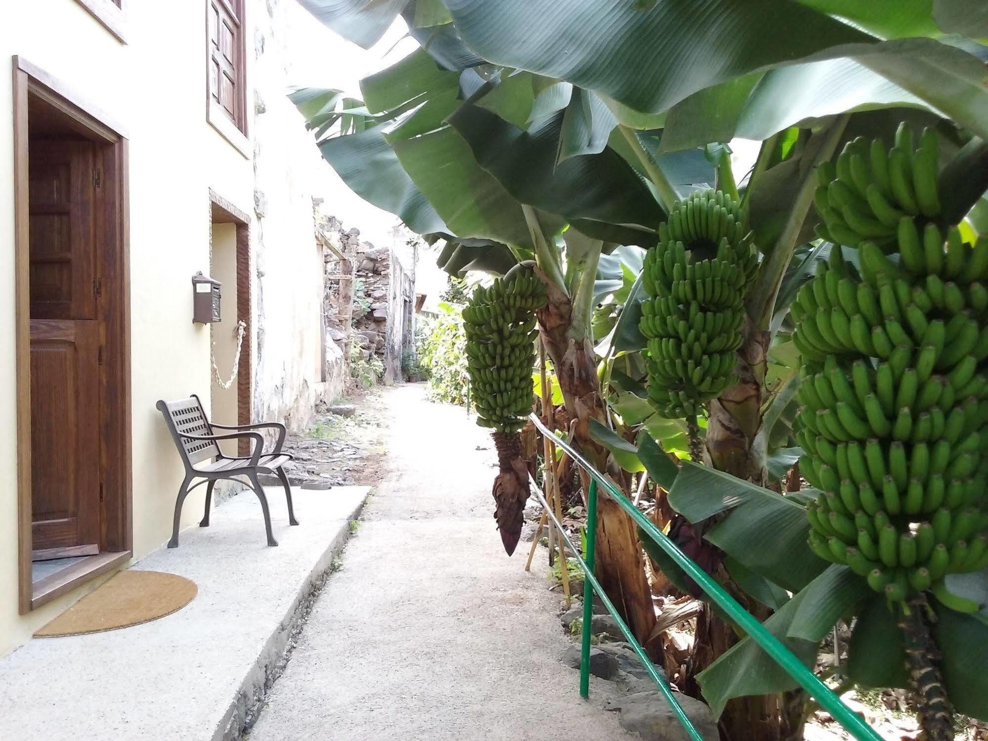 Casa Rural Llano Campo Hermigua Dış mekan fotoğraf